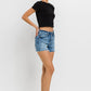 High Rise Raw Hem Denim Shorts